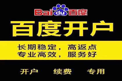 竞价SEM案例分享：行业霸主崛起之路